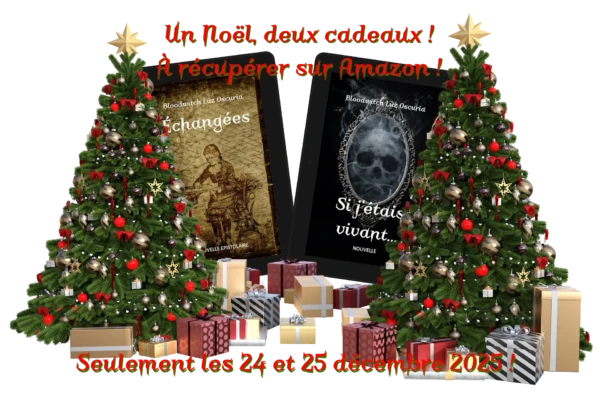 Noël 2025 : je vous fais un cadeau ! Noël 2025